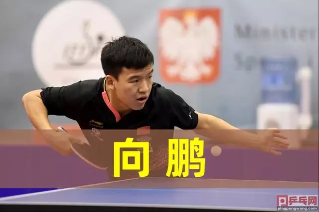 技术全面 技术全面